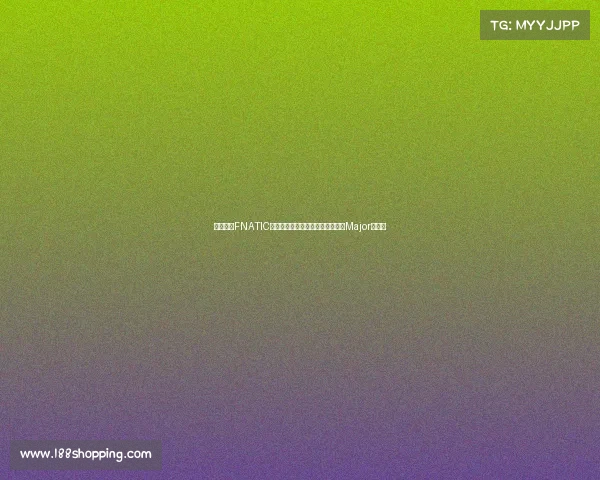 沸纳提克FNATIC的全新版图：构筑稳定基石，迎接Major新征程